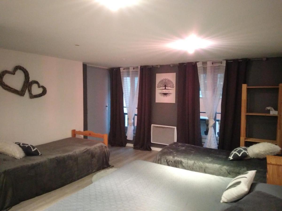 Espace Grenouillit Le Puy En Velay Dış mekan fotoğraf