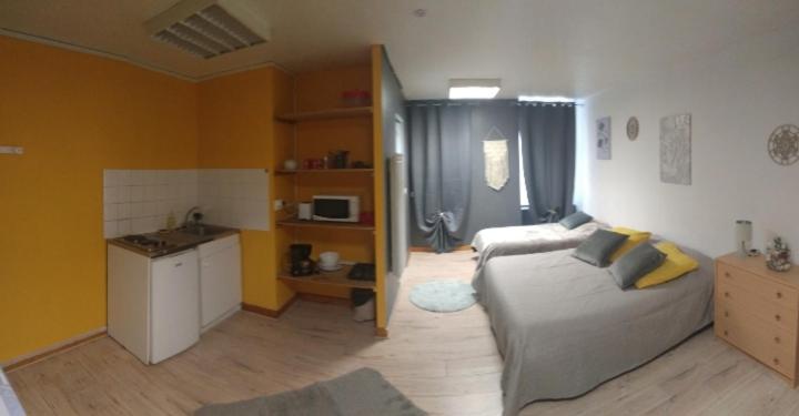 Espace Grenouillit Le Puy En Velay Dış mekan fotoğraf